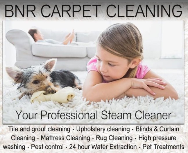 BnR Carpet Cleaning